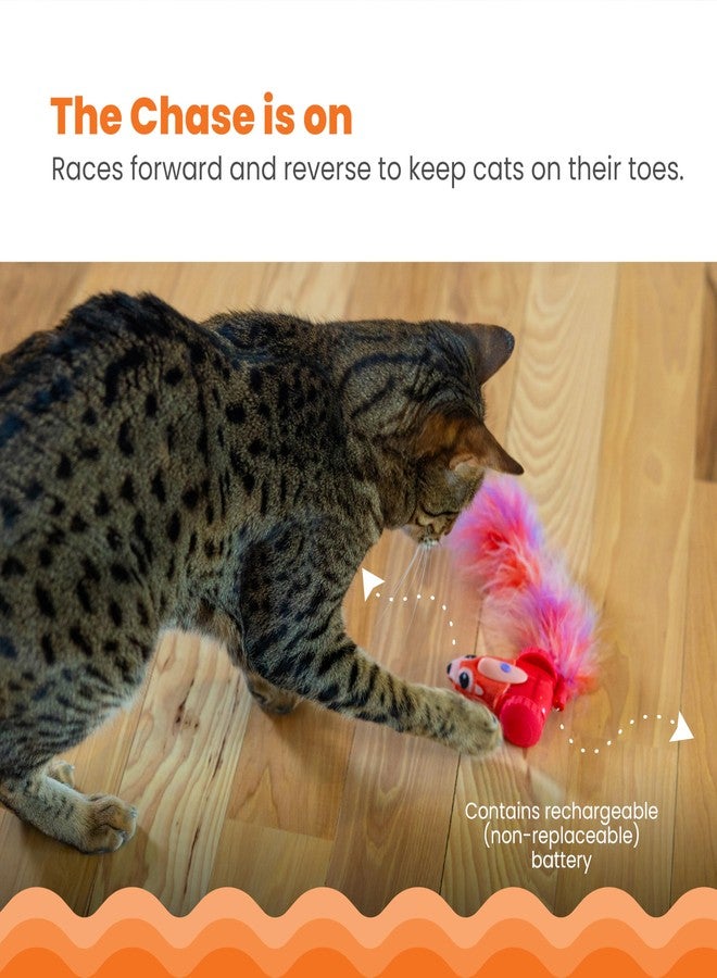 Catstages Racin' Squirrel Robot, Electronic Moving Cat Toy with Feathers, USB Rechargeable, Red - Image 2