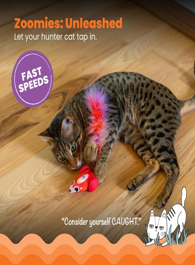 Catstages Racin' Squirrel Robot, Electronic Moving Cat Toy with Feathers, USB Rechargeable, Red - Image 3