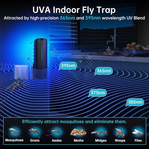 BURLAN Fruit Fly Traps Indoor for Home: Plug in Mosquito Bug Zapper Gnat Moth Catcher with 9W Night UV Light, 2 Devices 20 Sticky Glue Board Refills for Indoors Flying Insect Trap - Image 2