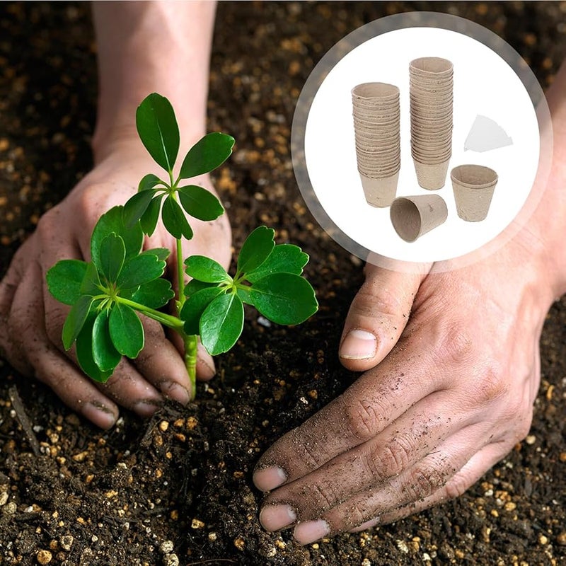 Biodegradable Peat Pots 8X8Cm Large 70pcs Seed Starter Kit for Herb and Flower - Image 5