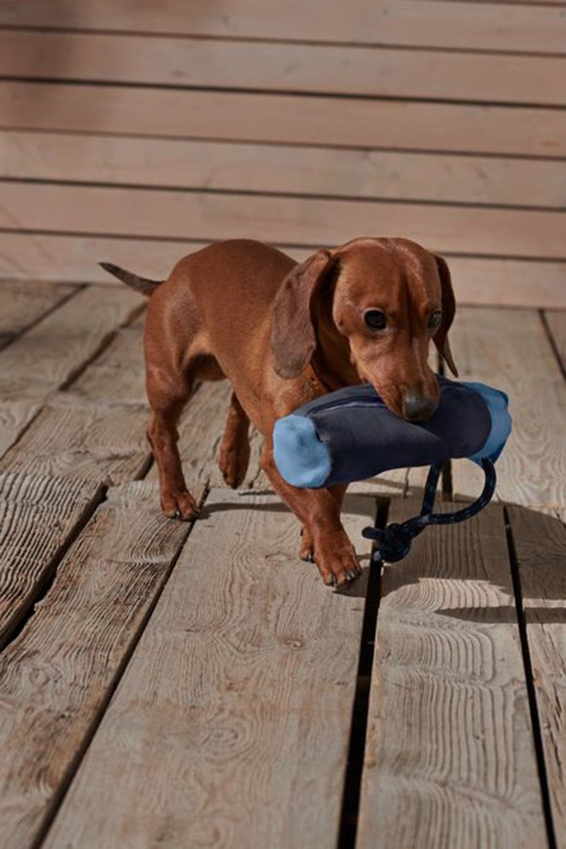 Tchibo Dog Toy Food Dummy, Navy - Image 1