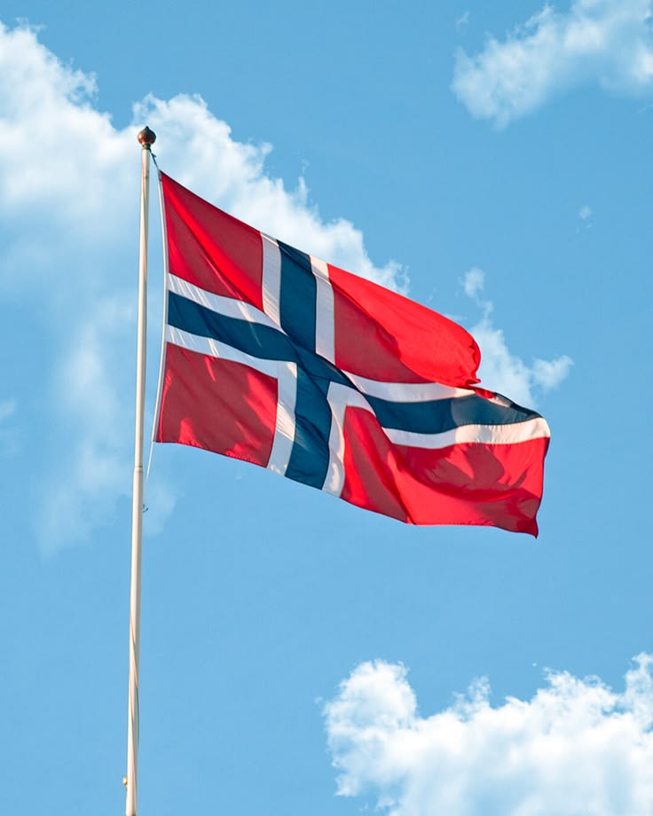 ARS Norway Flag - Heavy-Duty 210D Satin, Norway Flag for Outdoor/Indoor, Fade Resistant, Flag Day, And Home-Polyester, National Day Sport Day, FIFA World Cup, Indoor & Outdoor Use-Size Available - Image 2