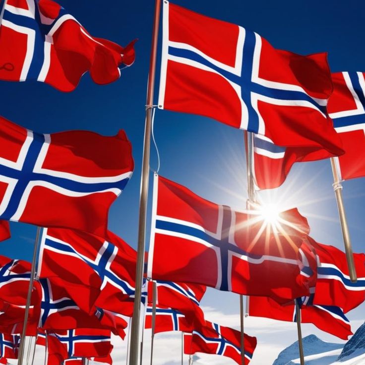 ARS Norway Flag - Heavy-Duty 210D Satin, Norway Flag for Outdoor/Indoor, Fade Resistant, Flag Day, And Home-Polyester, National Day Sport Day, FIFA World Cup, Indoor & Outdoor Use-Size Available - Image 4