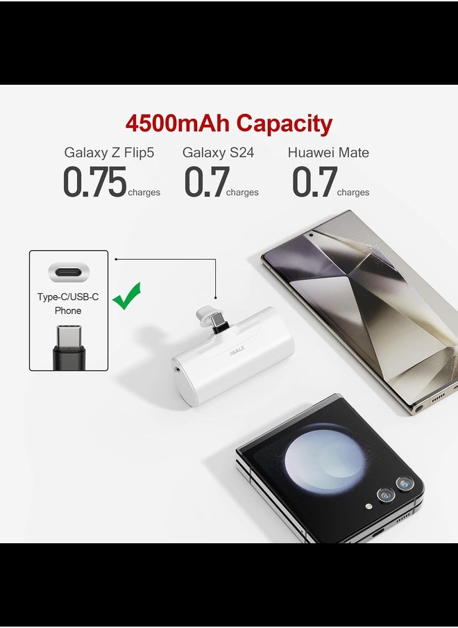 4500mAh Portable Charger USB-C Port & Charger Bag