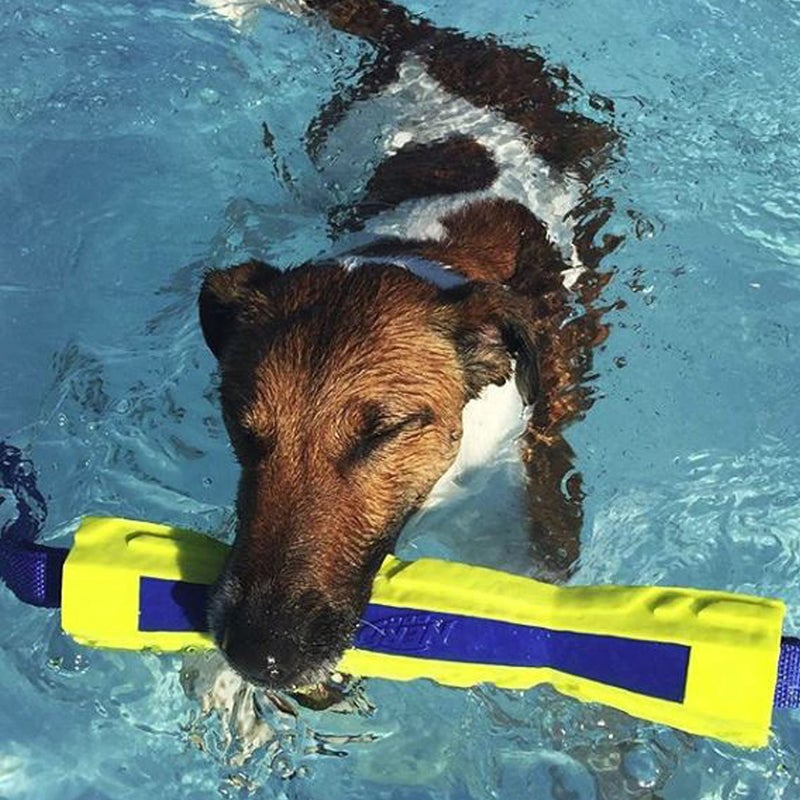 Nerf Dog 12in TPR/Foam Megaton Competition Stick - Blue/Green - Image 5