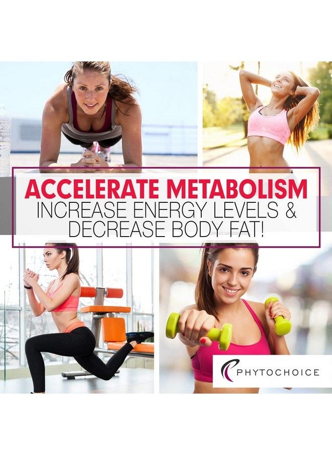 PhytoChoice - Best Diet Pills That Work Fast For Women Natural Fat Burning Weight Loss Supplements Appetite Hunger Suppressant Metabolism Booster Belly Fat Burner Weight Loss Pills To Lose Weight Fast For Women 2Pk - Image 1