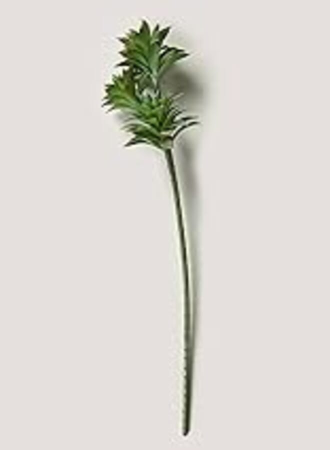 Matalan Green Succulent Stem, 66 cm Size