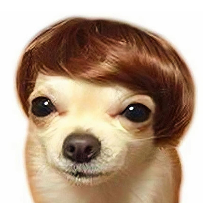 MESINURS Dog Wig Pet Costumes, Cat Costume Synthetic Accessories Small Dog Headwear for Halloween Christmas Eve Festival Party Decor, Head Wear Apparel Toy (A) - Image 1