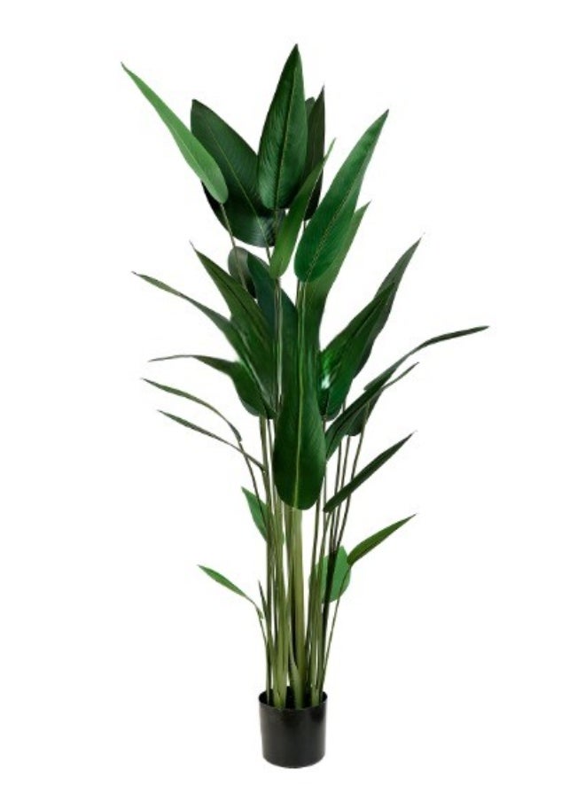 HRT WALL Artificial Strelitzia reginae 180cm - green 