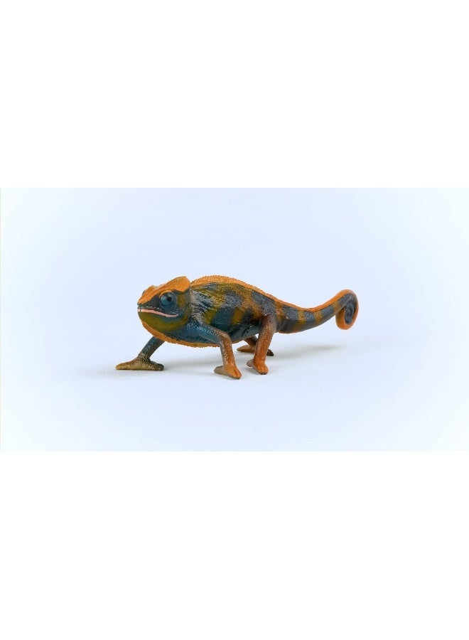 Schleich Chameleon Figurine - Realistic Reptile Model for Animal Lovers and Collectors, Ideal Gift for Kids Ages 4+ - Image 5
