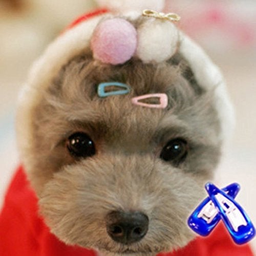 PET SHOW Cute 0.9" Waterdrop Small Snap Hair Clips Pet Grooming Products Dog Cat Puppy Short Hair Accessories Random Color Pack of 20 - Image 1