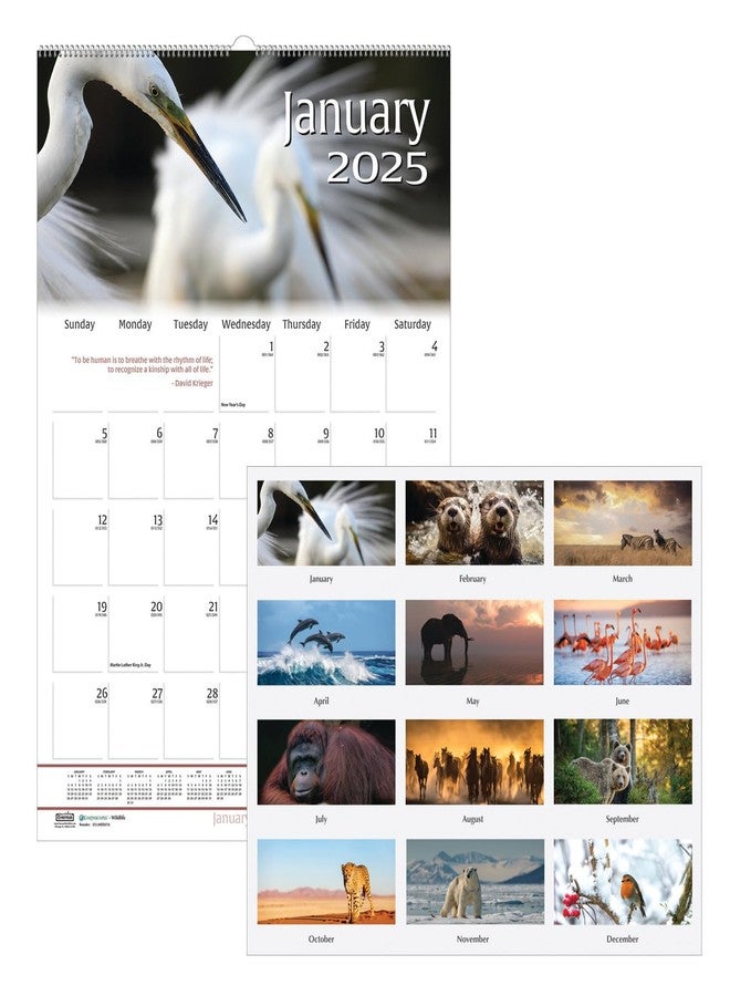 House of Doolittle 2025 Monthly Wall Calendar, Earthscapes Wildlife, 12 x 16.5 Inches, January - December (HOD3732-25) - Image 2