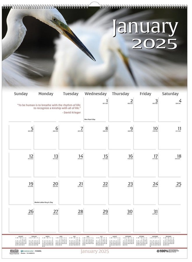 House of Doolittle 2025 Monthly Wall Calendar, Earthscapes Wildlife, 12 x 16.5 Inches, January - December (HOD3732-25) - Image 1