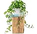 MY ROVALA Artificial Plants for Home Decor Indoor in Pot, Faux Plants Indoor Fake Plants for Living Room Decor Fake - Image 2