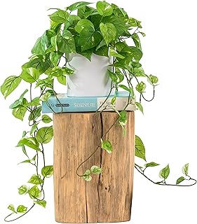 MY ROVALA Artificial Plants for Home Decor Indoor in Pot, Faux Plants Indoor Fake Plants for Living Room Decor Fake - Image 1