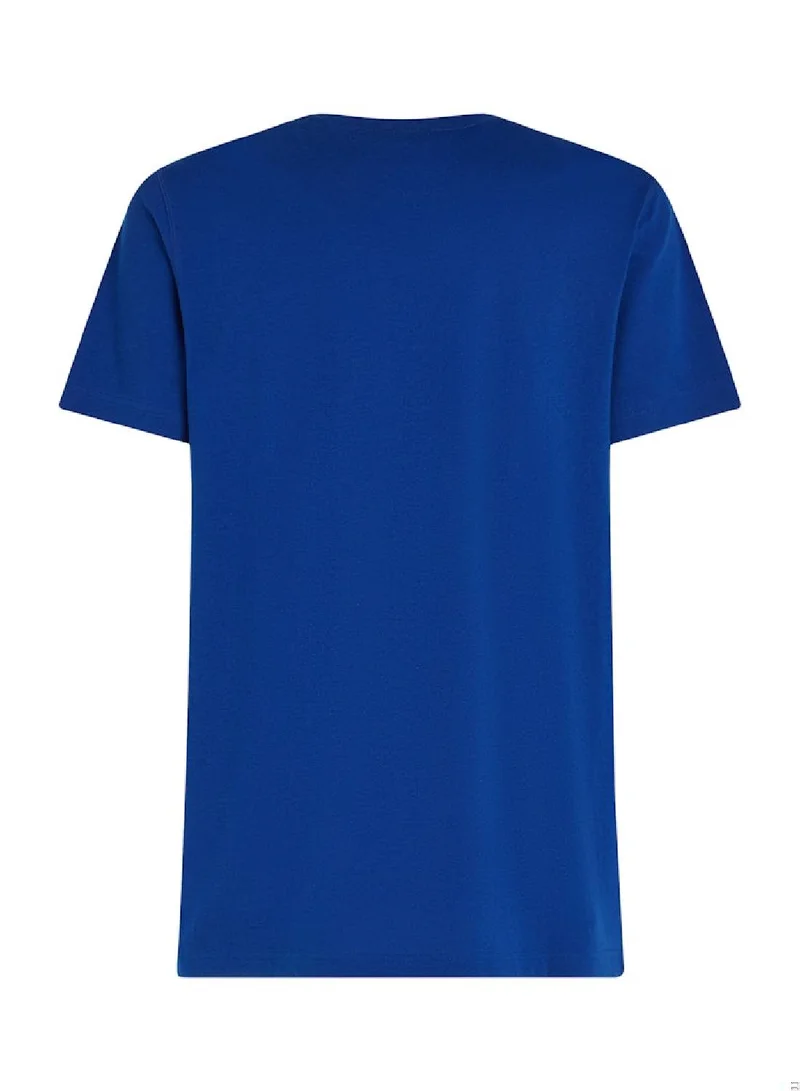 TOMMY HILFIGER Big Hilfiger T-shirt