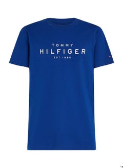 Men's Big Hilfiger T-shirt - Cotton, Blue - pzsku/Z1EF35EF2B3B5D4AE8976Z/45/_/1735544174/06756496-1adf-4de1-bb19-a2c24f6c140a