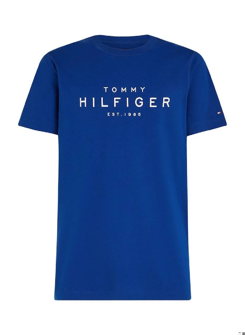 TOMMY HILFIGER Big Hilfiger T-shirt