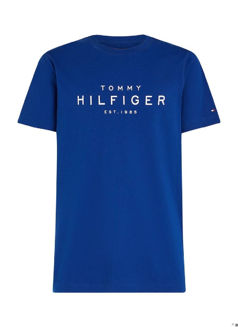 TOMMY HILFIGER Men's Big Hilfiger T-shirt - Cotton, Blue  - Image 4
