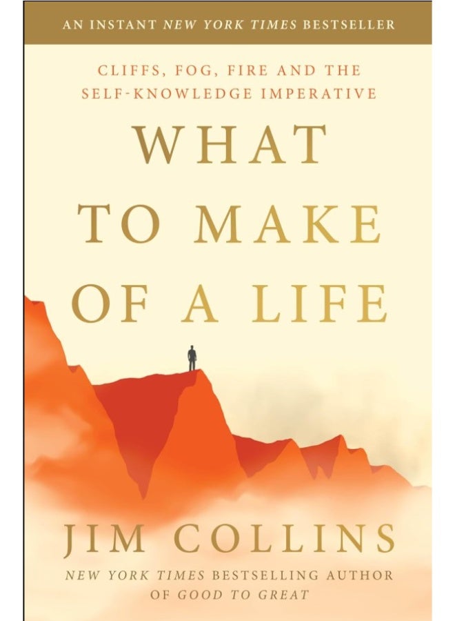 What to Make of a Life