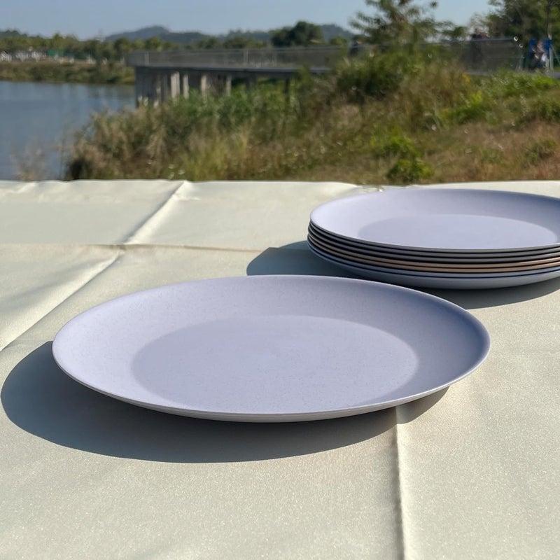 WEXINHAO 10 inch Wheat Straw Plate Unbreakable Flat Dinner Plates Set of 8 BPA Free Dishwasher  Microwave Safe Reusable Salad Camping for Kids Kitchen Grey Stone - Image 5