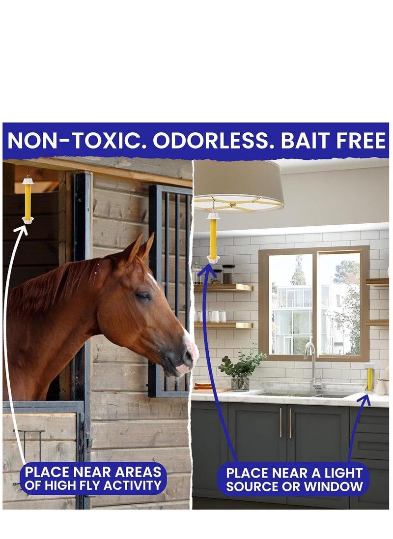 KASTWAVE - Fly Stick Sticky Fly Traps for Indoors and Outdoor 4pk, Non-Toxic Bait Free, Trap All Flies. Sticky Fly Traps for Indoors Outdoor Fly Catchers for Inside Home Bug Sticky Traps for Bugs - Image 1