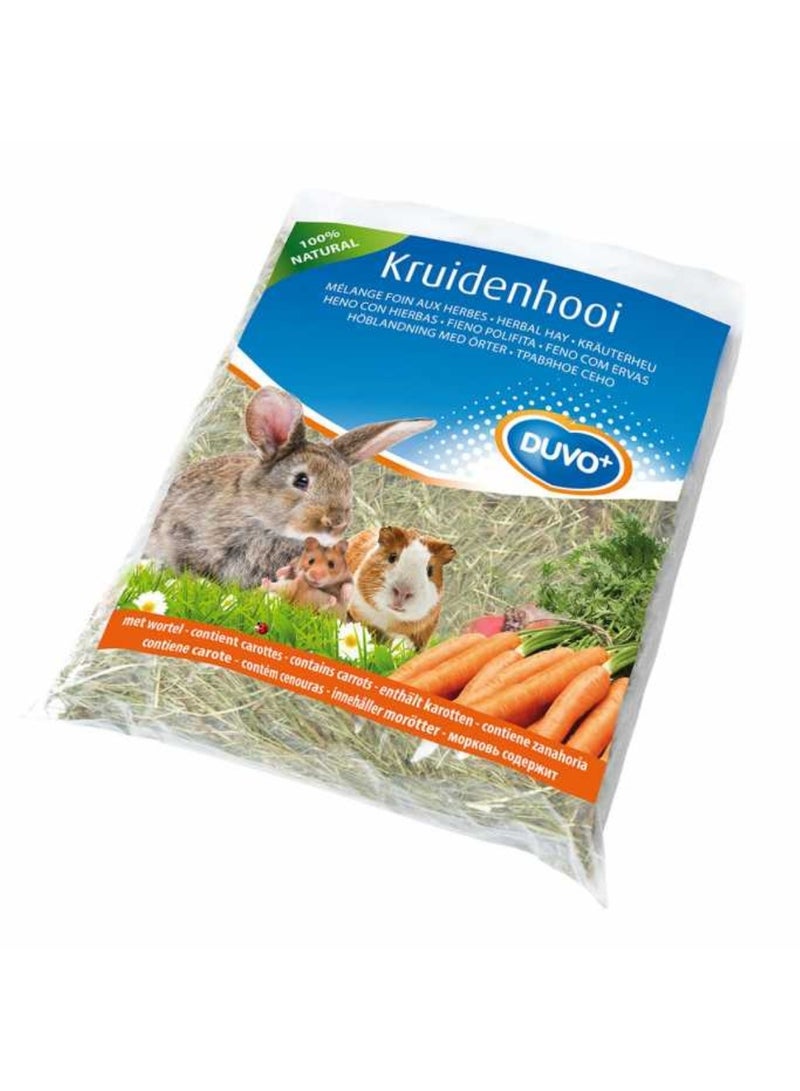 Duvo+ Herbal Hay Carrot 500g