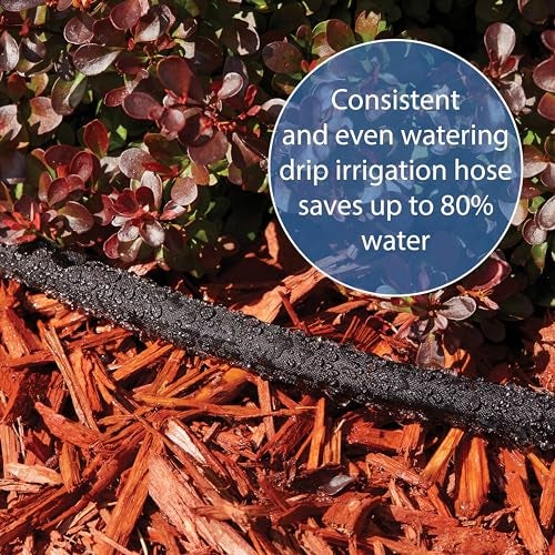 Gilmour 25' Black Flat Weeper Soaker Hose for Garden Beds, Drip Irrigation Outdoor Hose, Flexible Garden Hose for Vegetable Gardens, Flower Beds, Lawns, and Orchards - Image 4