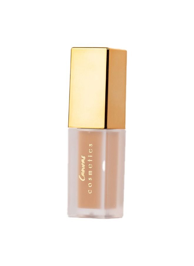 Canvas cosmetics Multitasker Concealer III 