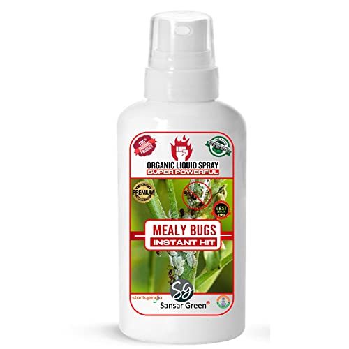 Sansar Green® Mealy Bug Instant Hit Spray, Premium Essential Super Powerful Liquid Spray for removing of Mealy Bugs from Plants (100 ml) - Image 1