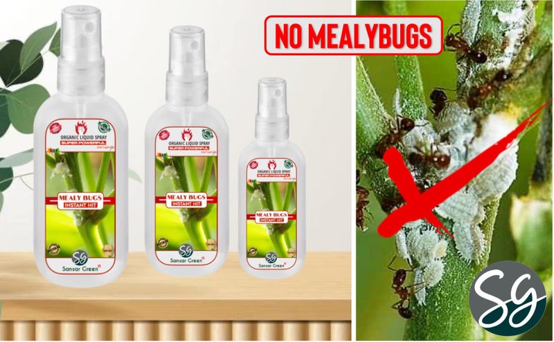 Sansar Green® Mealy Bug Instant Hit Spray, Premium Essential Super Powerful Liquid Spray for removing of Mealy Bugs from Plants (100 ml) - Image 2