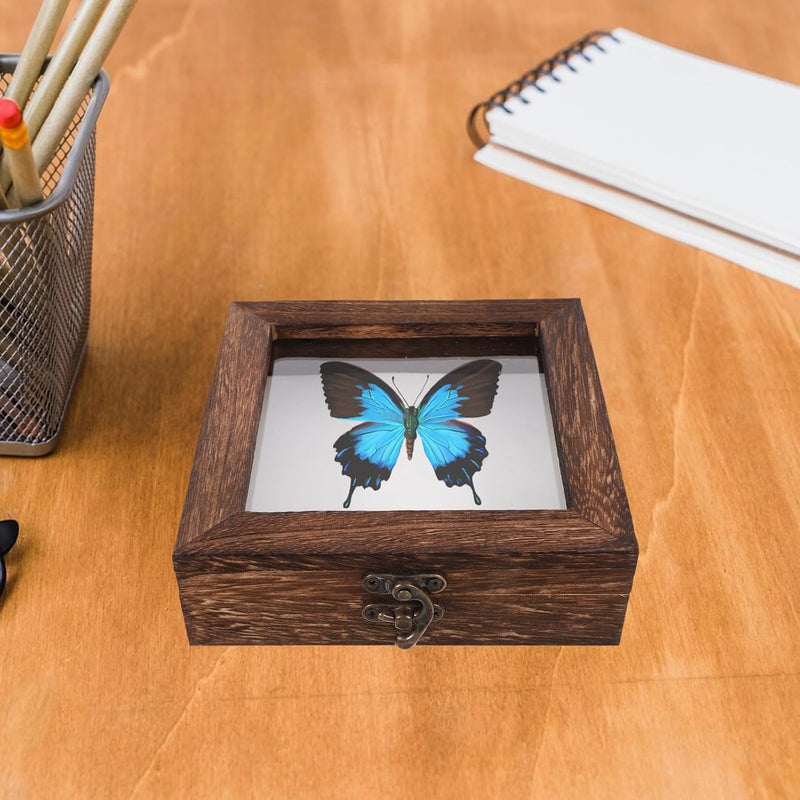 Yardwe Butterfly Display Shadow Box with Eva Foam Padding, 15x15x4.5cm Carbonized Paulownia Wood Frame, Insect Preservation Kit for Specimen Display and Collecting Keepsakes - Image 4