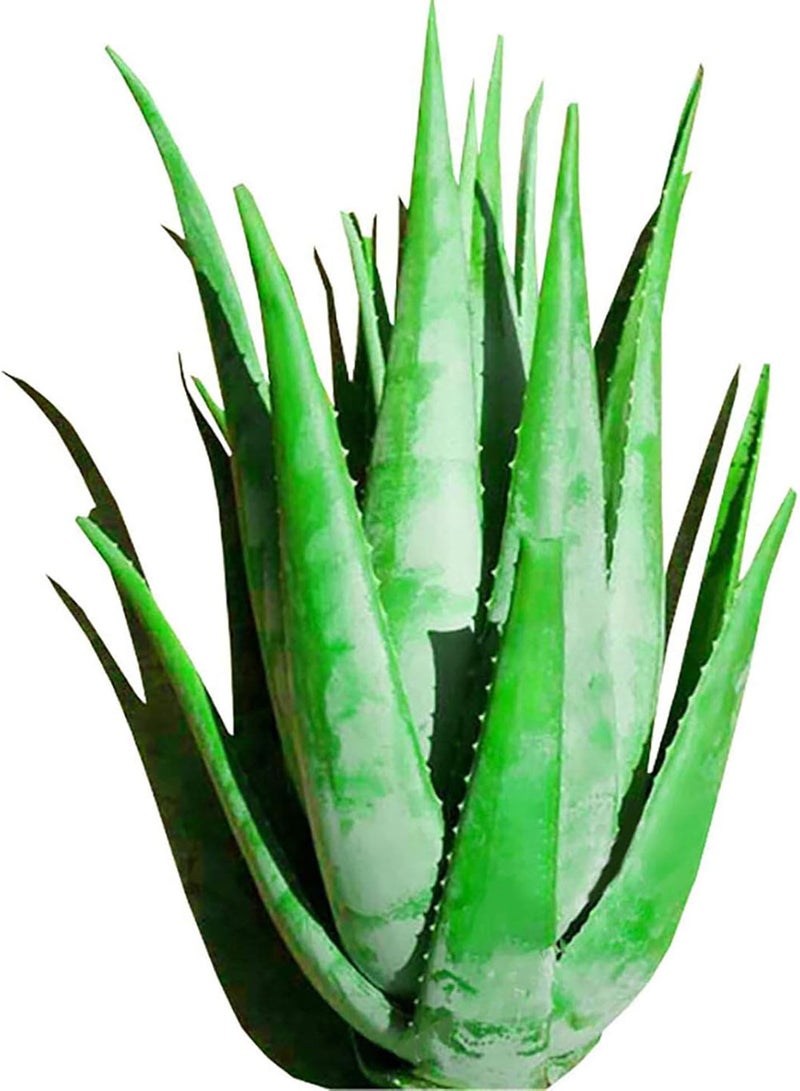 GGOOT 100Pcs Aloe Seeds Perennial Aloe Vera Plant Balcony Garden Potted Bonsai Plant Home Office Indoor Desk Windowsill Decor Aloe Seeds  - Image 1
