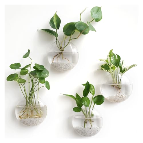 Mkono Wall Hanging Planter Propagation Station Glass Flower Vase for Hydroponics Plants, Bathroom, Home Office Living Room Decor Gift, Oblate Set of 4 - Image 1