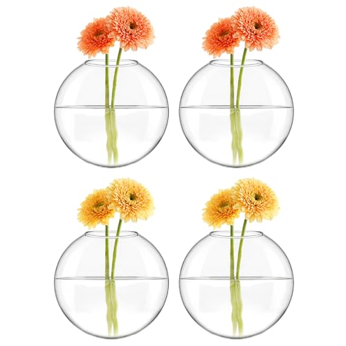 Mkono Wall Hanging Planter Propagation Station Glass Flower Vase for Hydroponics Plants, Bathroom, Home Office Living Room Decor Gift, Oblate Set of 4 - Image 3