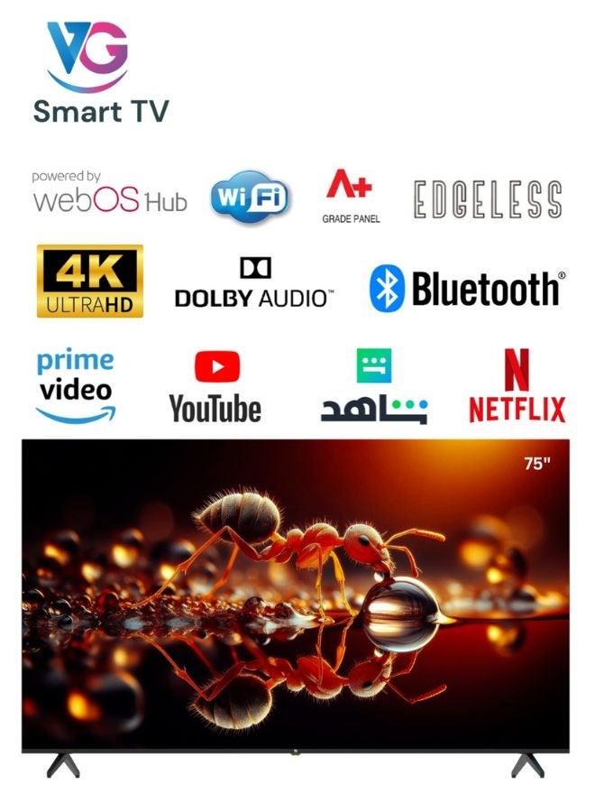 VG حزمة VG من تلفاز ذكي 75 بوصة 4K UHD (محور WebOS، لوحة من الدرجة A+، جهاز تحكم سحري، صوت دولبي) مع مكبر صوت (بلوتوث، راديو FM، صوت قنوات 2.0) - Image 3