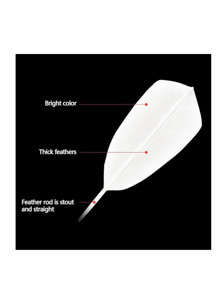 ALLKING Badminton Feather Shuttlecocks, with Great Durability & Stability & Control, Suitable for Beginner Level Players and Club Session, 12PCS per Tube  - Image 3