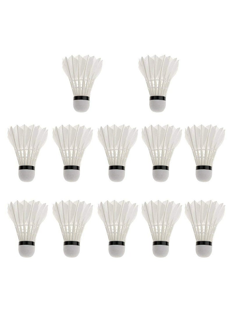 ALLKING Badminton Feather Shuttlecocks, with Great Durability & Stability & Control, Suitable for Beginner Level Players and Club Session, 12PCS per Tube  - Image 1