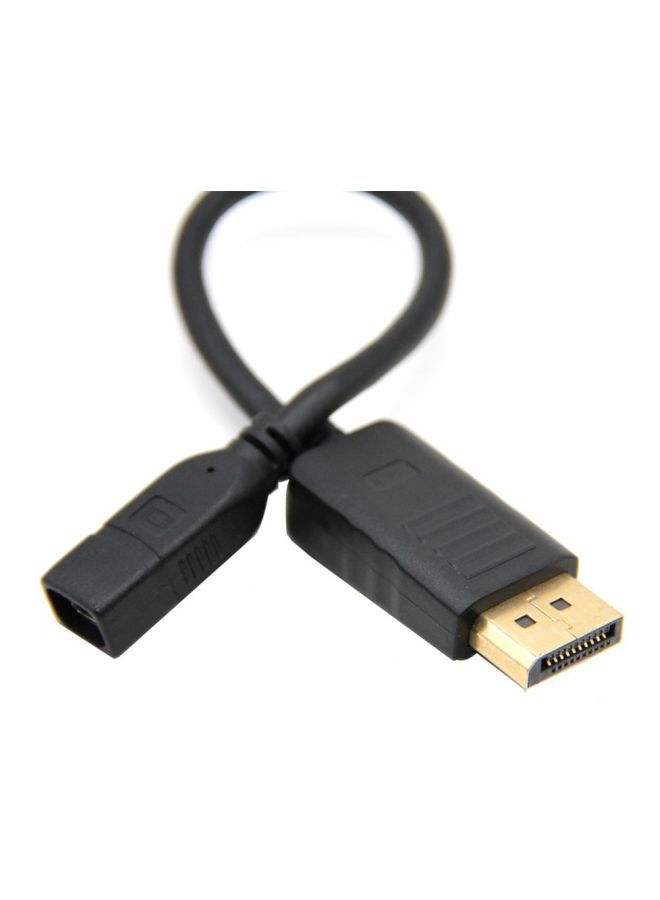 NIBEMINENT Display Port Male To Female Cable Black - Image 3