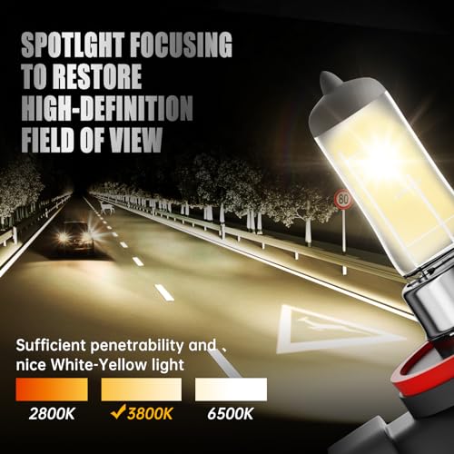 OKOENIEO H11 Headlight Bulbs, 12V 55W, 4000 Lumens, 3800K, Halogen Light Bulbs, No Glare, Headlight Bulbs High and Low Beam, Fog Light Bulb,Head Light Bulb for Car, Pack of 2 - Image 4