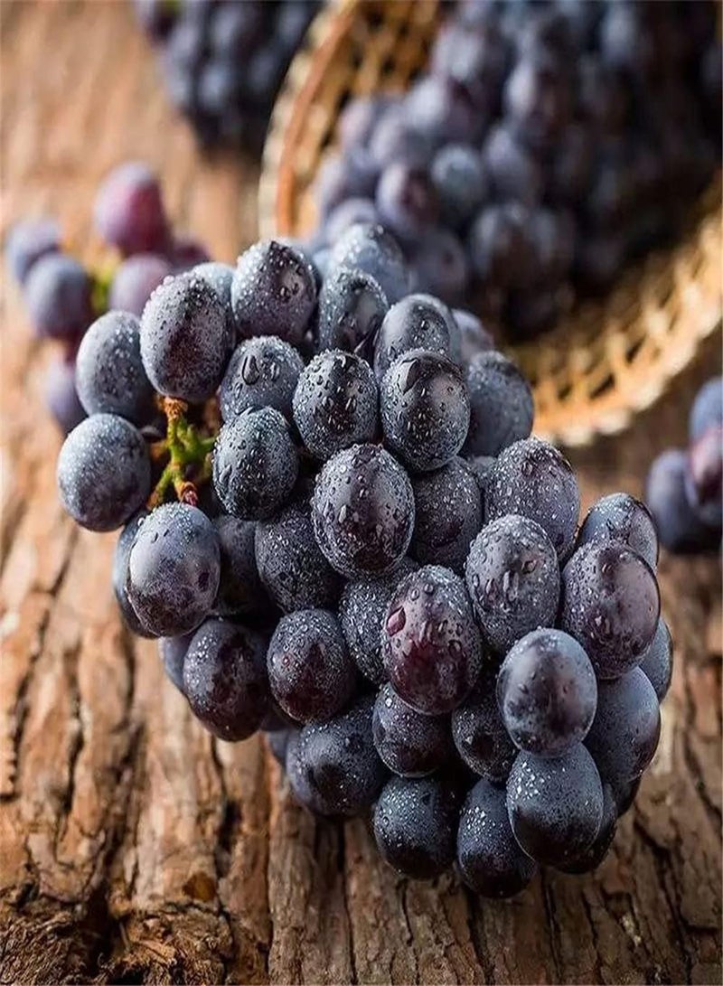 GGOOT 100Pcs Non-GMO Heirloom Grape Seeds for Courtyard Balcony Planting Easy to Care Has Good Ornamental Value and Economic Value - Image 1