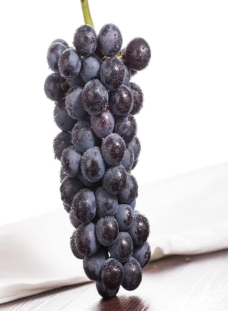 GGOOT 100Pcs Non-GMO Heirloom Grape Seeds for Courtyard Balcony Planting Easy to Care Has Good Ornamental Value and Economic Value - Image 3