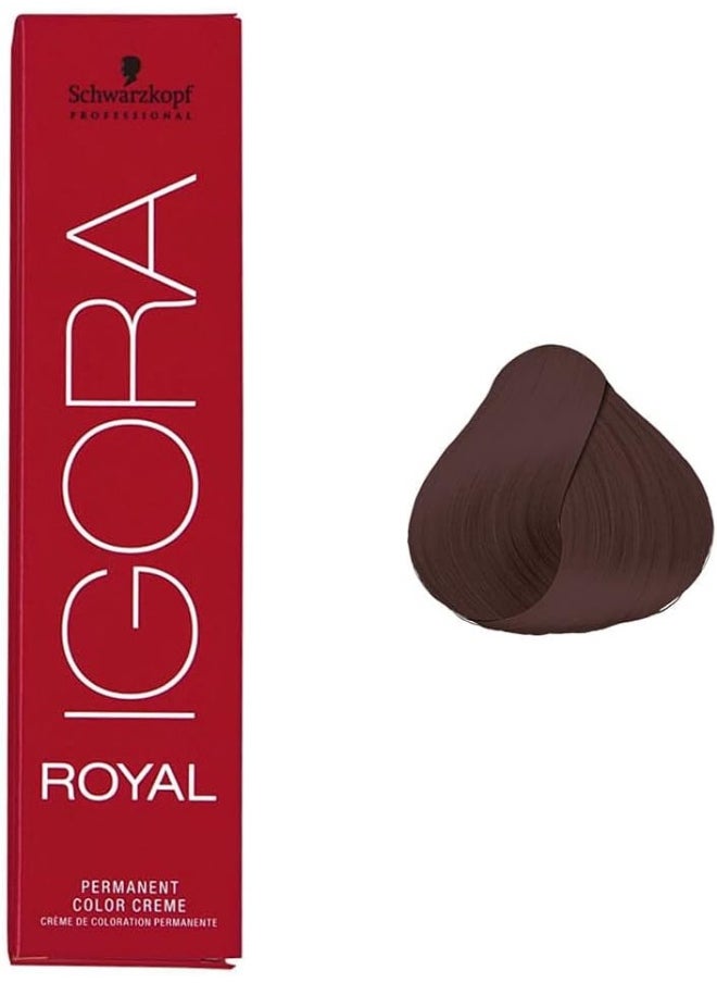 Schwarzkopf Professional - Schwarzkopf Igora Royal 5-68 Light Brown Chocolate Red Permanent Hair Color - Image 1