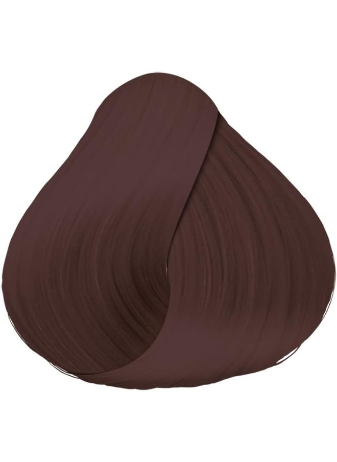 Schwarzkopf Professional - Schwarzkopf Igora Royal 5-68 Light Brown Chocolate Red Permanent Hair Color - Image 1