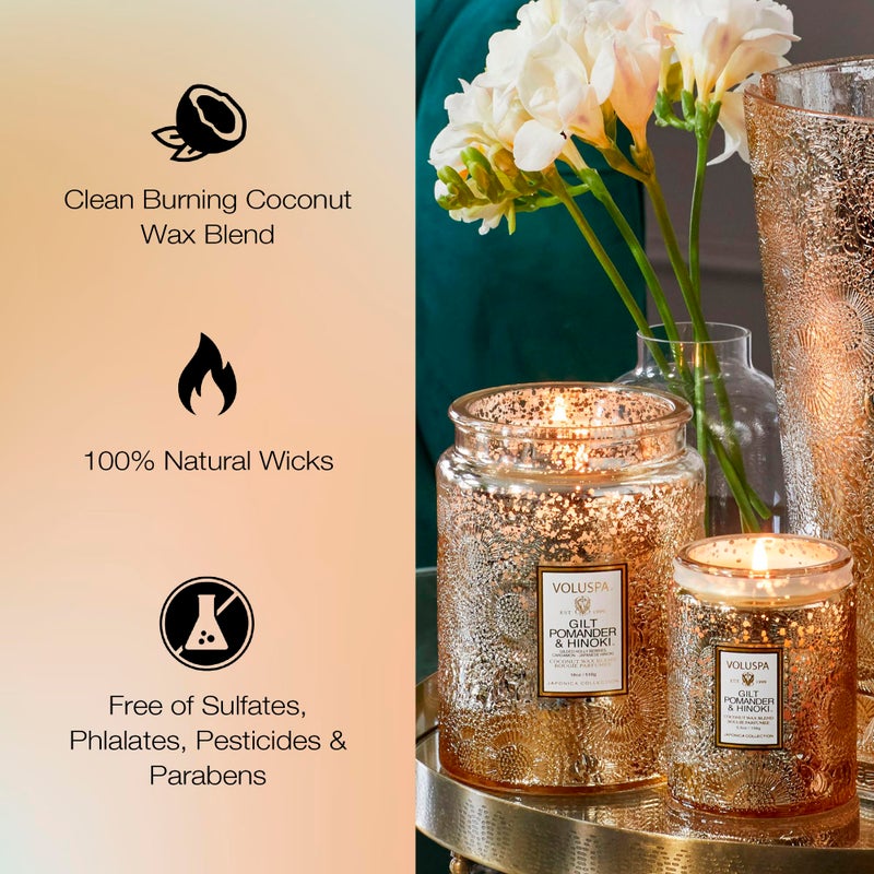 Voluspa Gilt Pomander Hinoki, Large Candle Jar, 18 oz, 100 Hour Burn Time, Coconut Wax for Clean Burning, Handcrafted in The USA - Image 4