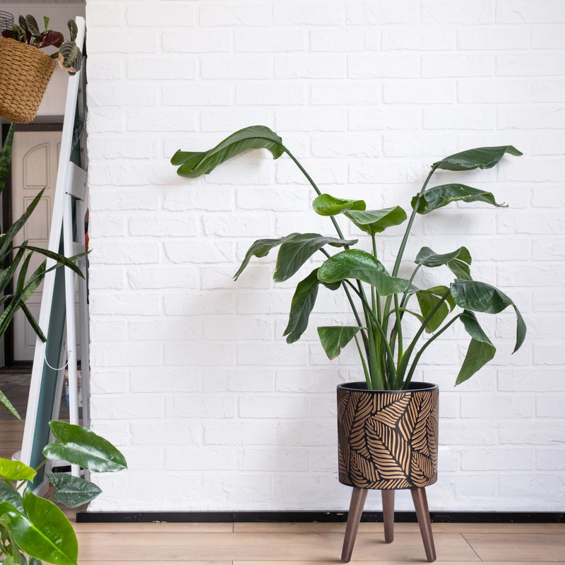D'vine Dev 10 Inch Planter Pot with Stand, Mid-Century Tall Plant Pot with Legs for Indoor Plants, Medium, Bronze/Grey, 88-L-B-6 - Image 2