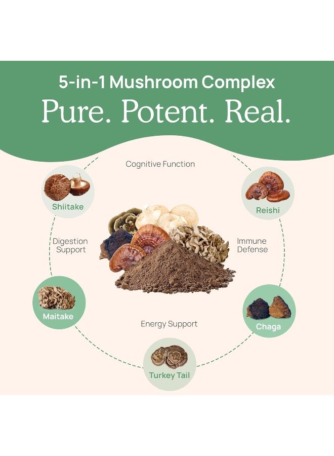 Real Mushrooms Real Mushrooms 5 Defenders Mushroom Supplements for Immune Support - Image 2