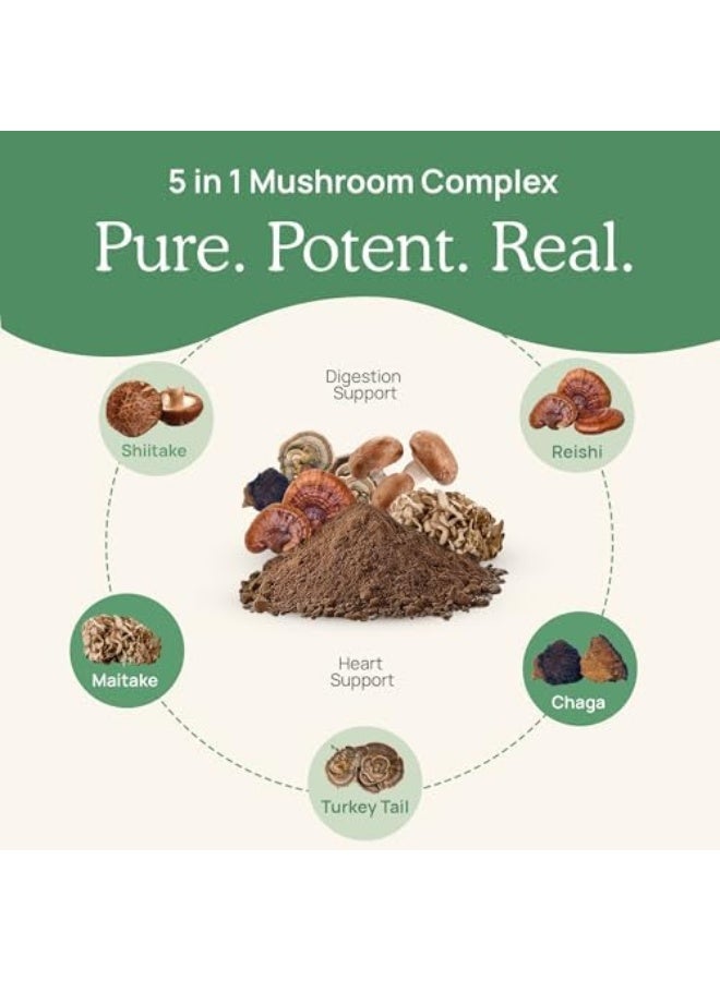 Real Mushrooms Real Mushrooms 5 Defenders Mushroom Supplements for Immune Support - Image 5