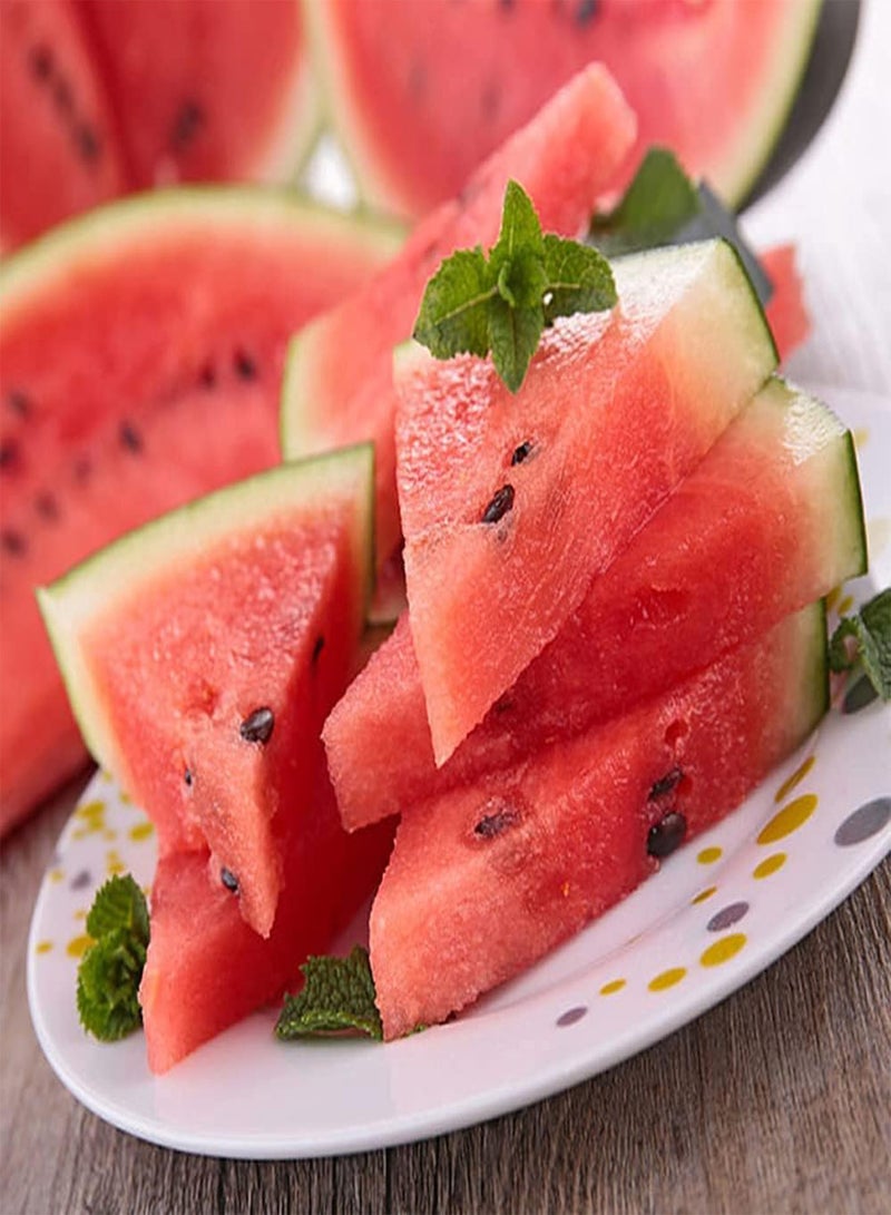 جي جوت 100 قطعة من بذور البطيخ الفريدة والمشهورة وسهلة الزراعة ولها معنى الحصاد المثمر ومناسبة للمشاركة مع الأصدقاء والعائلة - Image 3