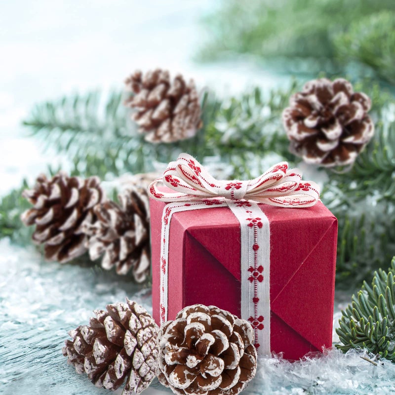 وولاين Whaline 25pcs عيد الميلاد مخاريط الصنوبر الطبيعية بالثوب الريفي الثلجي مع سلسلة من الصنوبر مخروط قلادة شتوية معلقة الزخرفة لزخارف شجرة الهدايا شجرة عيد الميلاد 1.6-2 بوصة - Image 5